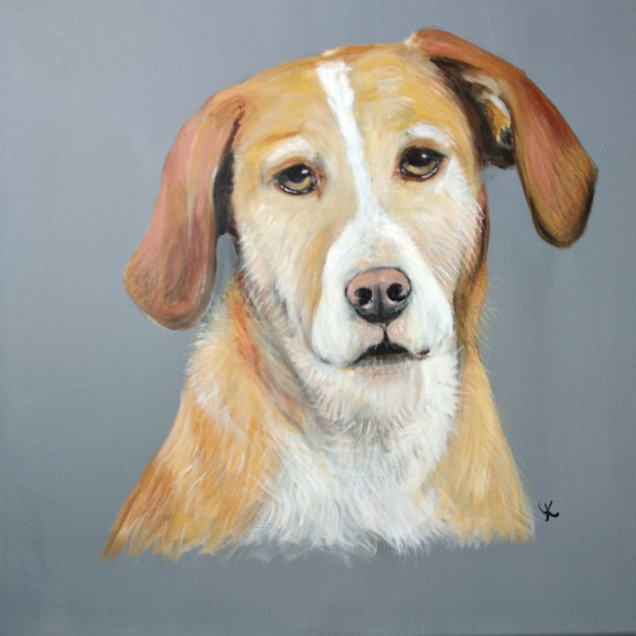 Schilderij Hondenportret