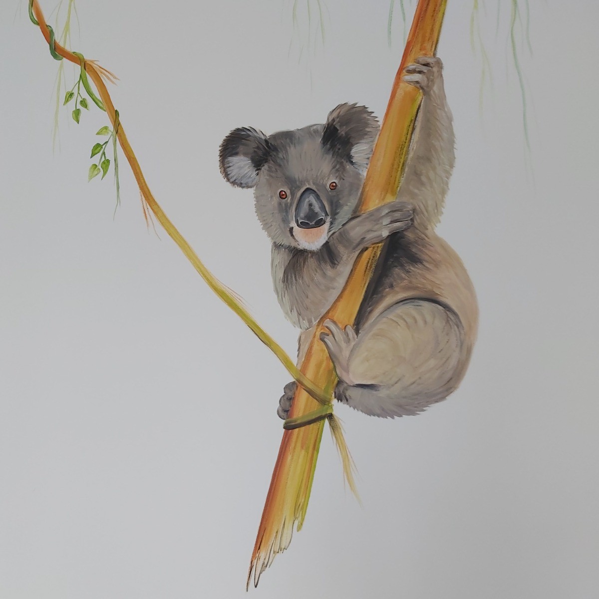 Muurschildering Koala