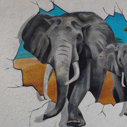 Muurschildering olifanten 3d